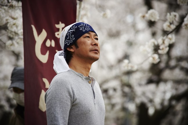 Kirsikkapuiden alla, Cinema Mondo.